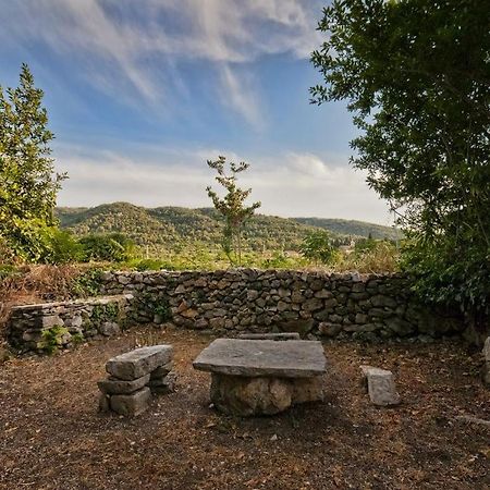 450 Year-Old House With A Garden Villa Stari Grad  Exteriör bild